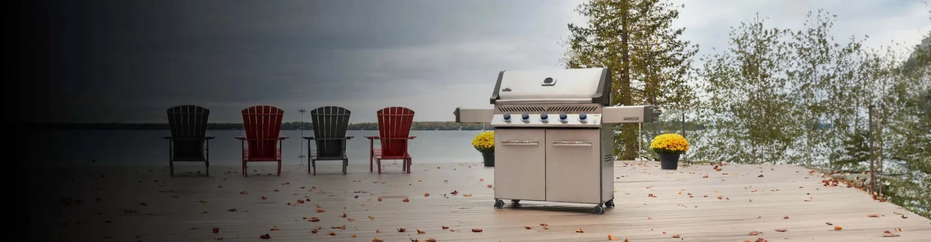 Napoleon BBQ Grills Accessories