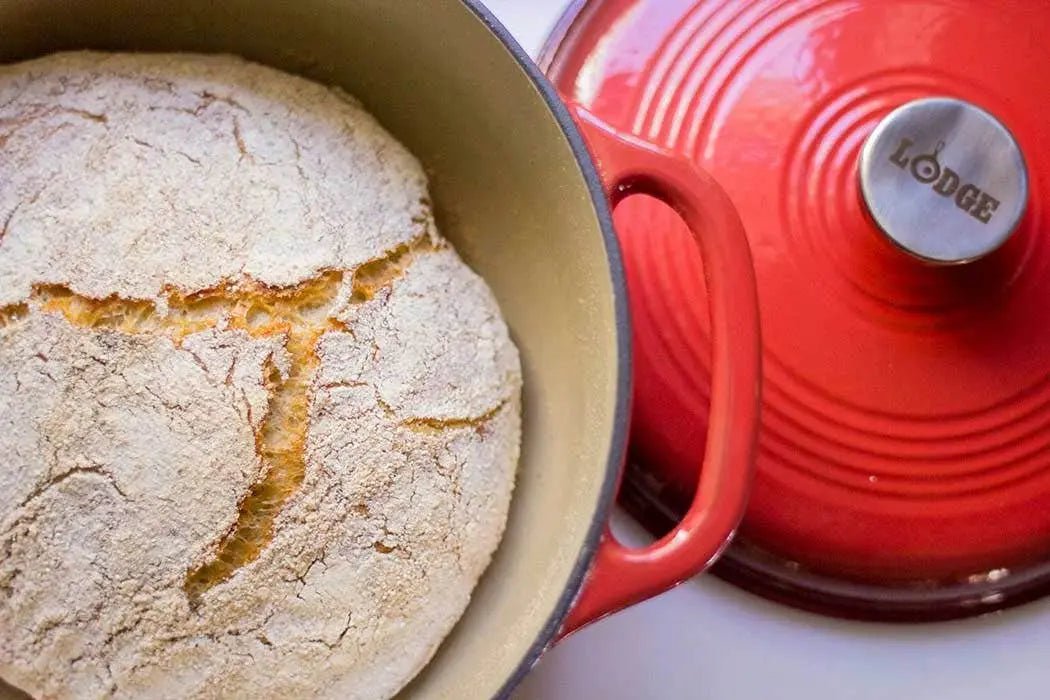 Lodge 6-Quart Enameled Cast Iron Dutch Oven Dutch Ovens