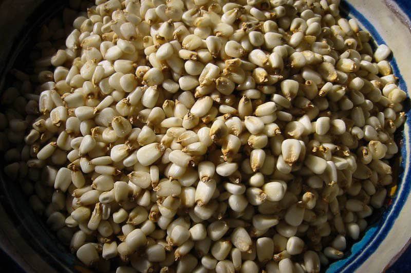 Rancho Gordo Posole Prepared Hominy 12046240
