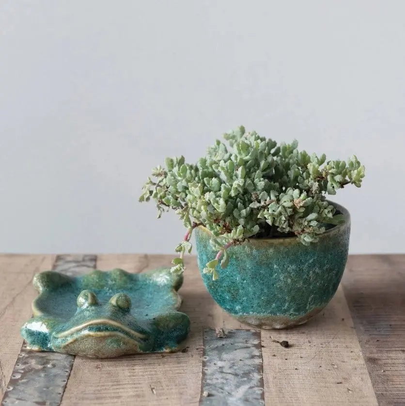 frog succulent planter Stoneware Frog Planter