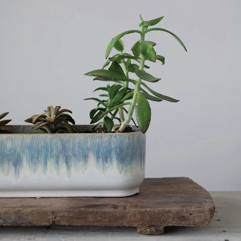 Stoneware Window Planter with 3 Sections Pots & Planters 12037786