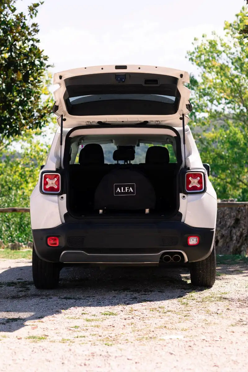 Alfa Moderno Portable Pizza Oven