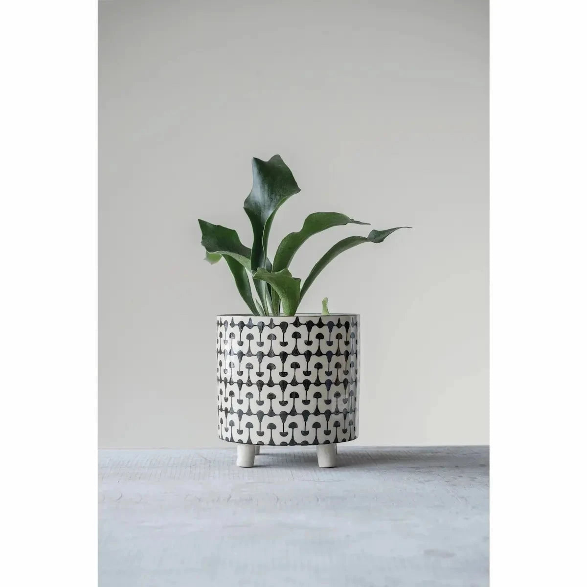 Black and White Stoneware Planter Pots & Planters 12037805