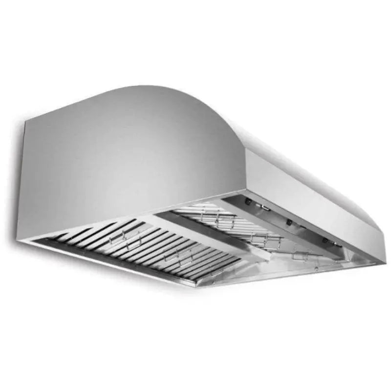 Blaze 42" Outdoor Wall Vent Hood Range Hoods 12030957
