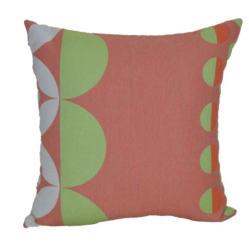 Casual Cushion Guava Style C 18 inch Throw Pillow Throw Pillows 12040629