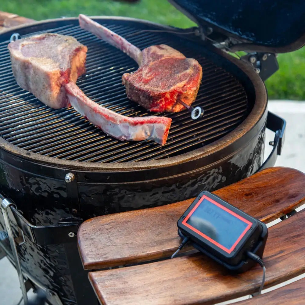 Fireboard Pulse Wireless Meat Thermometer Outdoor Grill Accessories