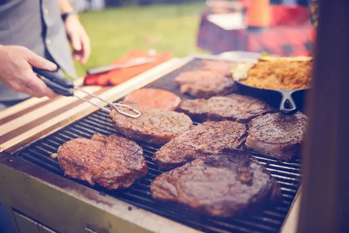 Hasty-Bake Legacy Charcoal BBQ Grill Outdoor Grills