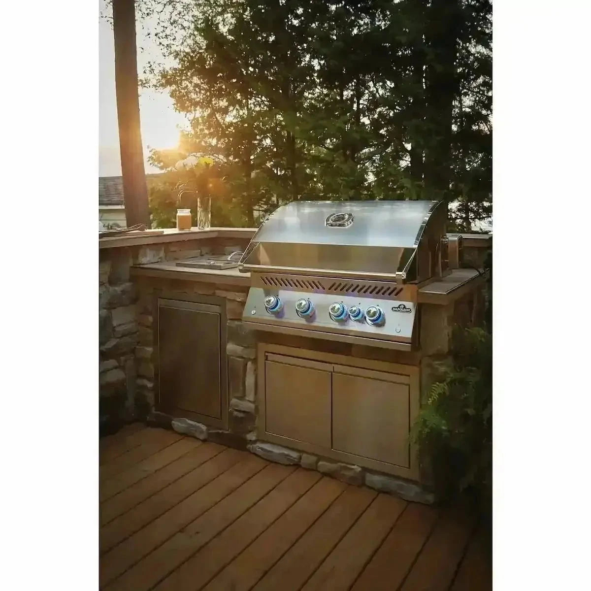 Napoleon Built-In 700 Series 32-inch Gas Grill with Rear Infrared Burner BIG32RB-1 Outdoor Grill