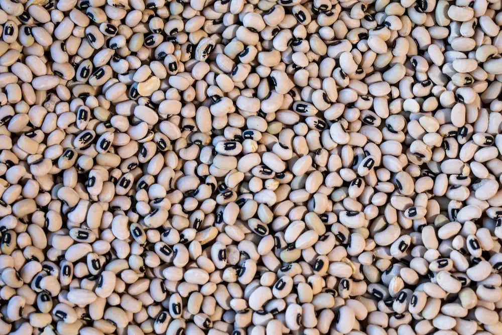 Rancho Gordo Black Eyed Peas Beans 12044285