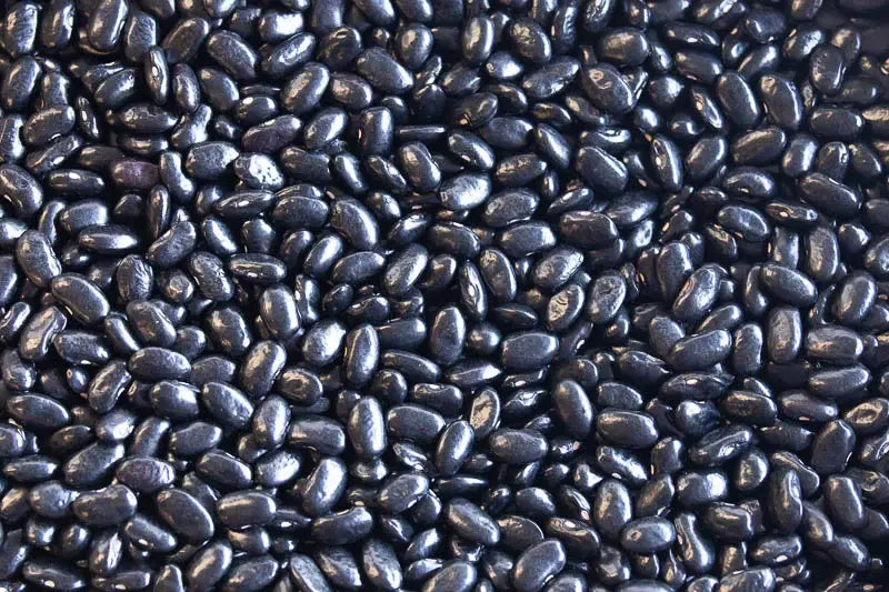 Rancho Gordo Chiapas Black Beans Beans 12044276