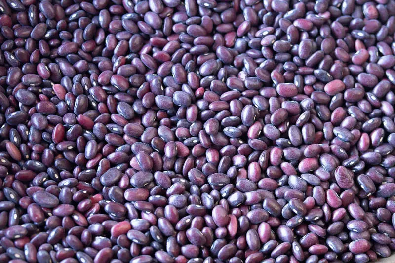 Rancho Gordo Domingo Rojo Beans Beans 12042834