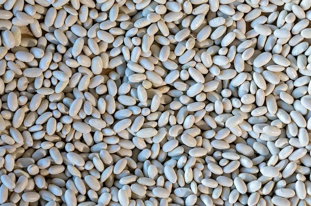 Rancho Gordo Marcella Beans Beans 12044280