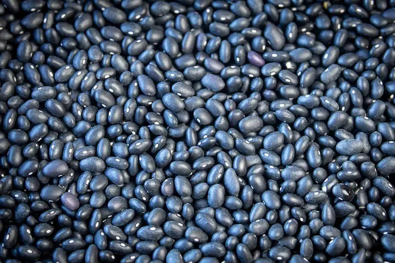 Rancho Gordo Midnight Black Beans Beans 12042838
