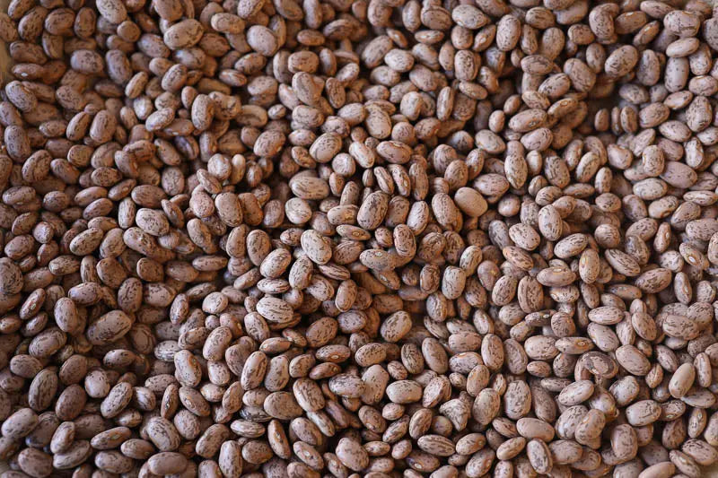 Rancho Gordo Pinto Beans Beans 12042839