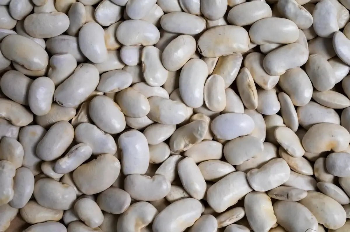 Rancho Gordo Royal Corona Beans Beans 12044282