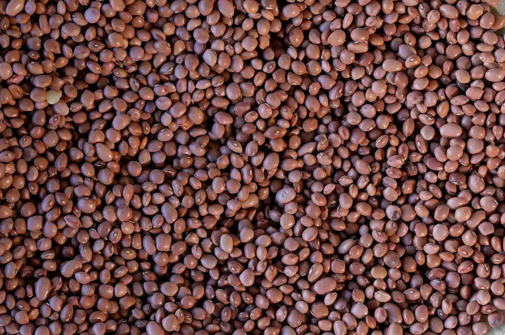 Rancho Gordo Santa Maria Pinquito Beans Beans 12042840
