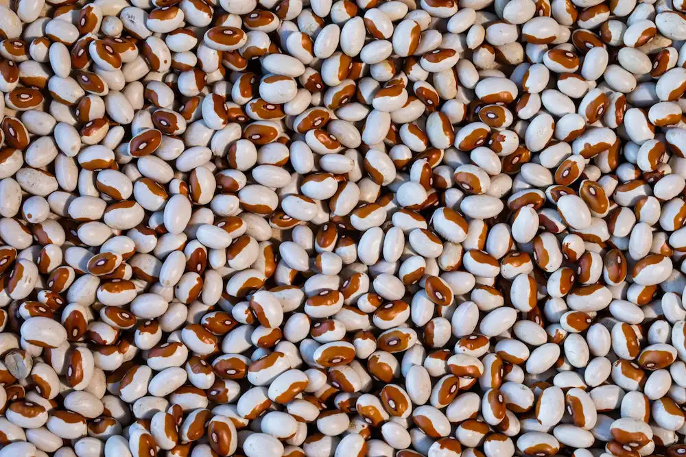 Rancho Gordo Yellow Eye Beans Beans 12044283