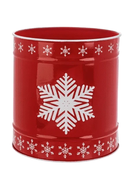 Snowflake Canister Seasonal & Holiday Decor Medium 12045063