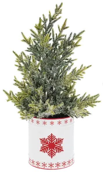 Snowflake Canister Seasonal & Holiday Decor