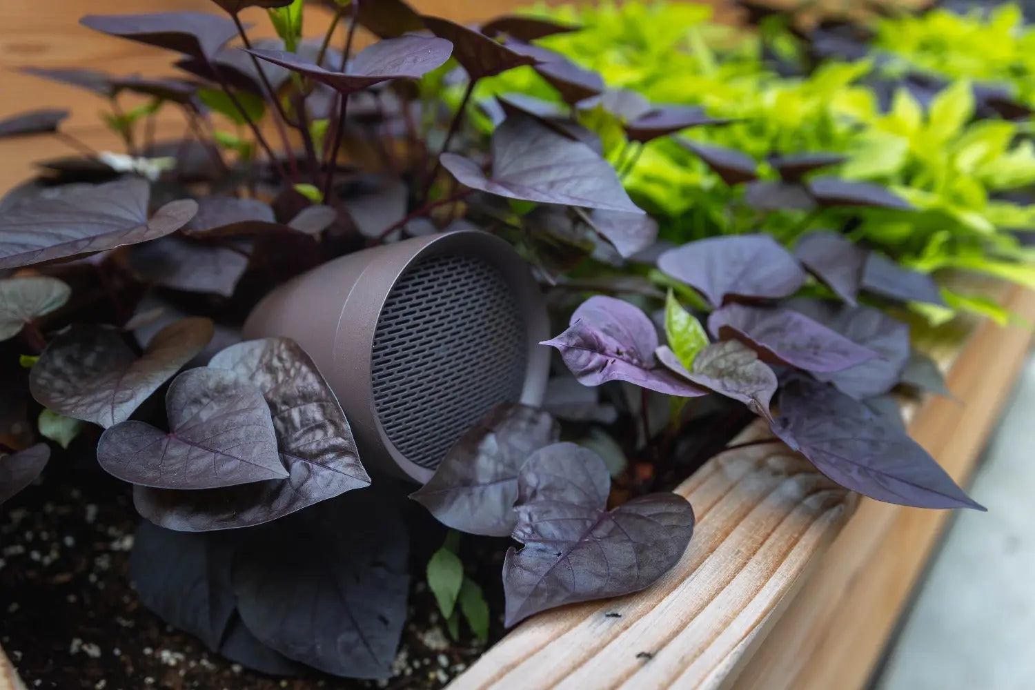 Sonance Patio Series 4.1 Outdoor Audio System Speakers