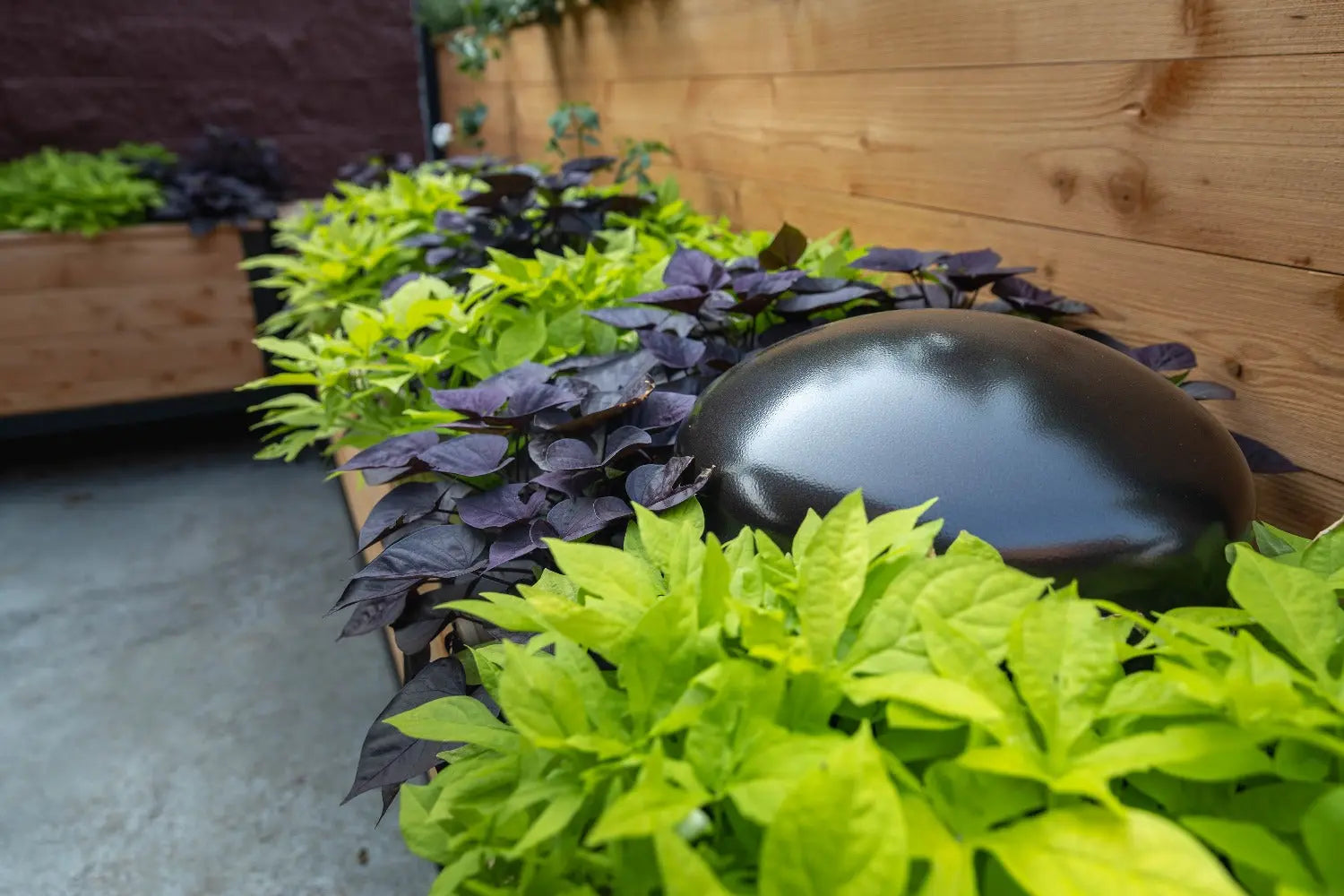 Sonance Patio Series 4.1 Outdoor Audio System Speakers