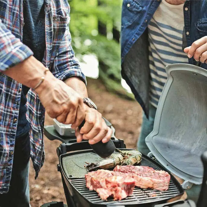 Weber Q 1200 Portable Gas Grill Outdoor Grills