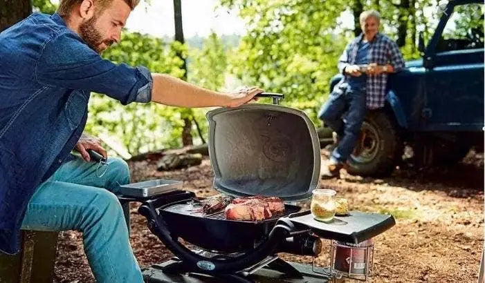 weber camping grill Weber Q 1200 Portable Gas BBQ Grill